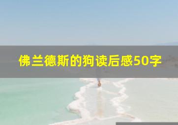 佛兰德斯的狗读后感50字