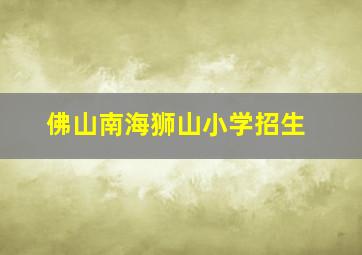 佛山南海狮山小学招生