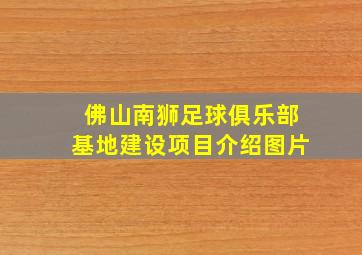 佛山南狮足球俱乐部基地建设项目介绍图片