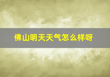 佛山明天天气怎么样呀