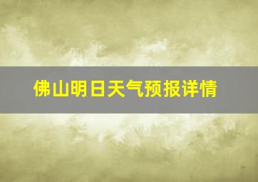 佛山明日天气预报详情