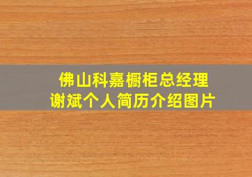 佛山科嘉橱柜总经理谢斌个人简历介绍图片