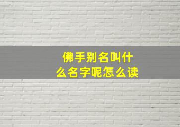 佛手别名叫什么名字呢怎么读