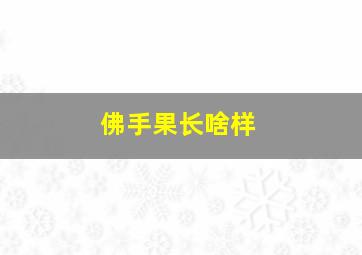 佛手果长啥样