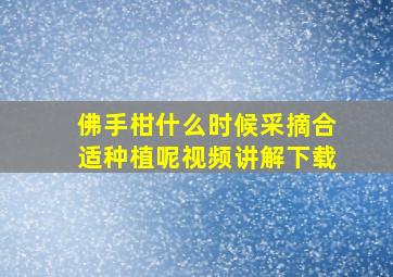 佛手柑什么时候采摘合适种植呢视频讲解下载