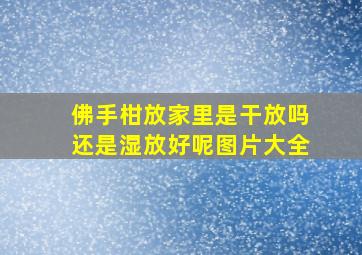 佛手柑放家里是干放吗还是湿放好呢图片大全