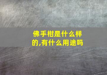 佛手柑是什么样的,有什么用途吗