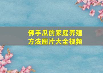 佛手瓜的家庭养殖方法图片大全视频