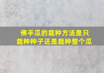 佛手瓜的栽种方法是只栽种种子还是栽种整个瓜