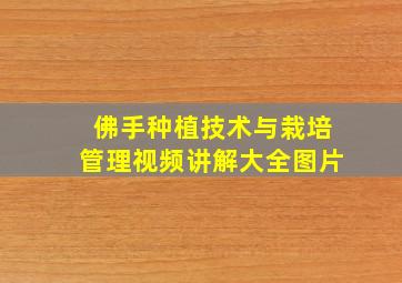 佛手种植技术与栽培管理视频讲解大全图片