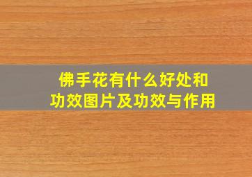 佛手花有什么好处和功效图片及功效与作用