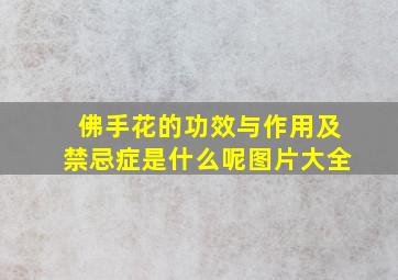 佛手花的功效与作用及禁忌症是什么呢图片大全