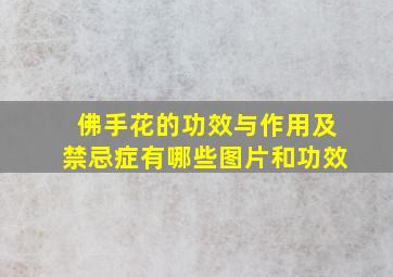 佛手花的功效与作用及禁忌症有哪些图片和功效