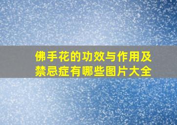 佛手花的功效与作用及禁忌症有哪些图片大全