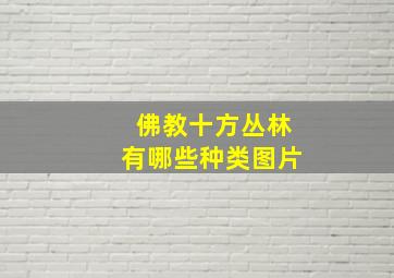 佛教十方丛林有哪些种类图片