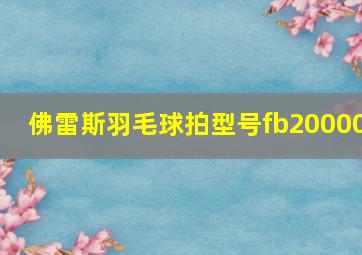 佛雷斯羽毛球拍型号fb20000