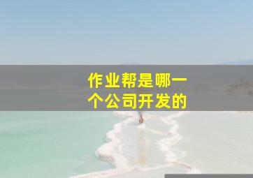 作业帮是哪一个公司开发的