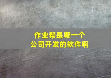 作业帮是哪一个公司开发的软件啊