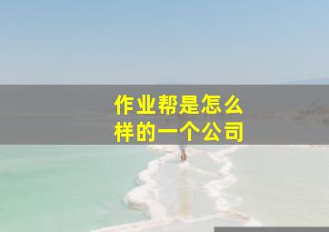 作业帮是怎么样的一个公司