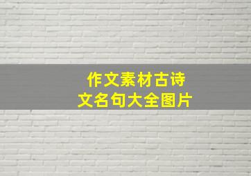 作文素材古诗文名句大全图片