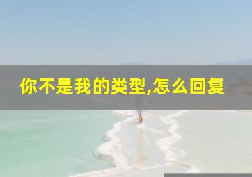 你不是我的类型,怎么回复