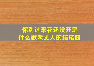 你别过来花还没开是什么歌老丈人的结尾曲