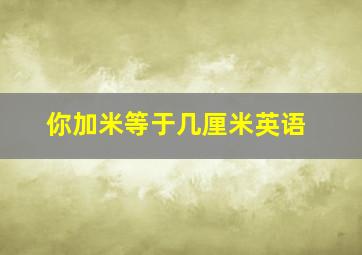 你加米等于几厘米英语