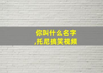 你叫什么名字,托尼搞笑视频