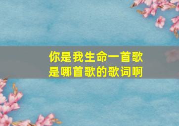 你是我生命一首歌是哪首歌的歌词啊