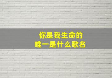 你是我生命的唯一是什么歌名