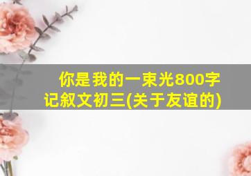 你是我的一束光800字记叙文初三(关于友谊的)