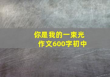 你是我的一束光作文600字初中