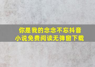 你是我的念念不忘抖音小说免费阅读无弹窗下载