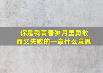 你是我青春岁月里勇敢而又失败的一章什么意思