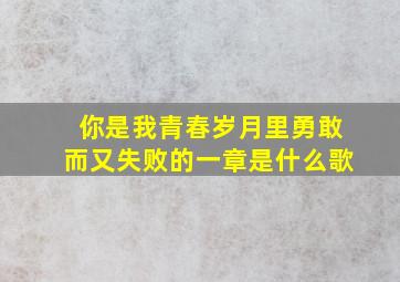 你是我青春岁月里勇敢而又失败的一章是什么歌