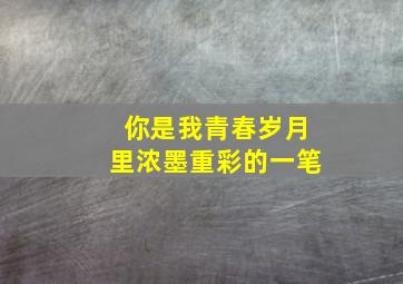 你是我青春岁月里浓墨重彩的一笔