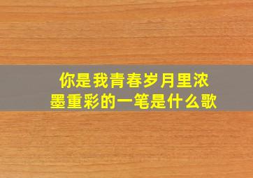 你是我青春岁月里浓墨重彩的一笔是什么歌