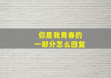 你是我青春的一部分怎么回复