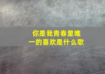 你是我青春里唯一的喜欢是什么歌