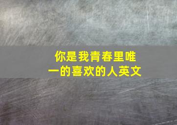 你是我青春里唯一的喜欢的人英文