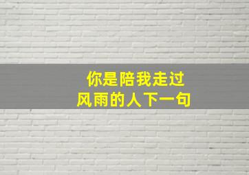 你是陪我走过风雨的人下一句