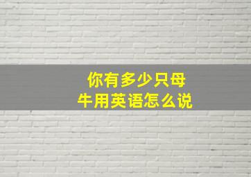 你有多少只母牛用英语怎么说