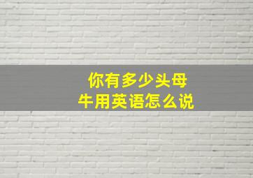 你有多少头母牛用英语怎么说