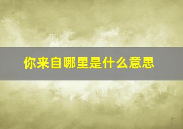 你来自哪里是什么意思