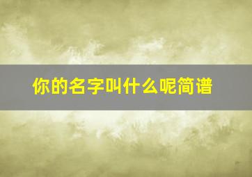 你的名字叫什么呢简谱