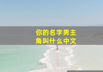 你的名字男主角叫什么中文