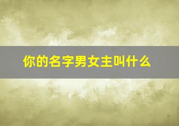 你的名字男女主叫什么