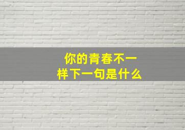 你的青春不一样下一句是什么