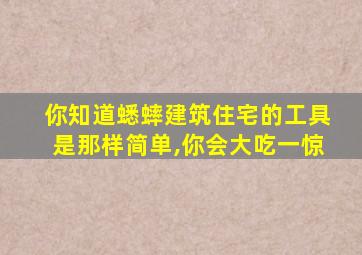 你知道蟋蟀建筑住宅的工具是那样简单,你会大吃一惊