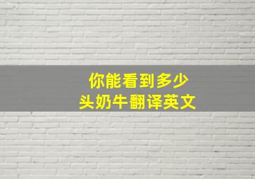 你能看到多少头奶牛翻译英文